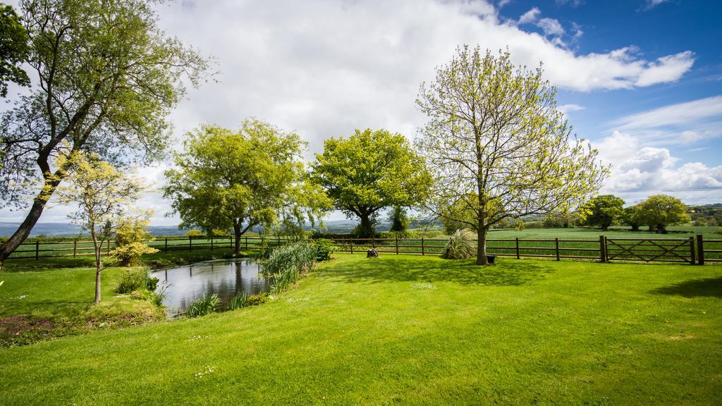 Hills Farm Bed & Breakfast Leominster Rom bilde