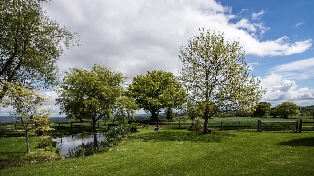 Hills Farm Bed & Breakfast Leominster Rom bilde