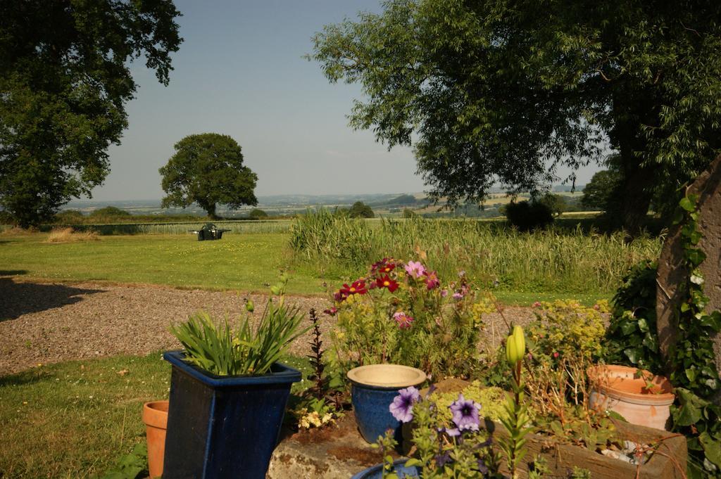 Hills Farm Bed & Breakfast Leominster Eksteriør bilde