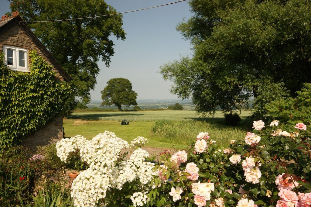 Hills Farm Bed & Breakfast Leominster Rom bilde