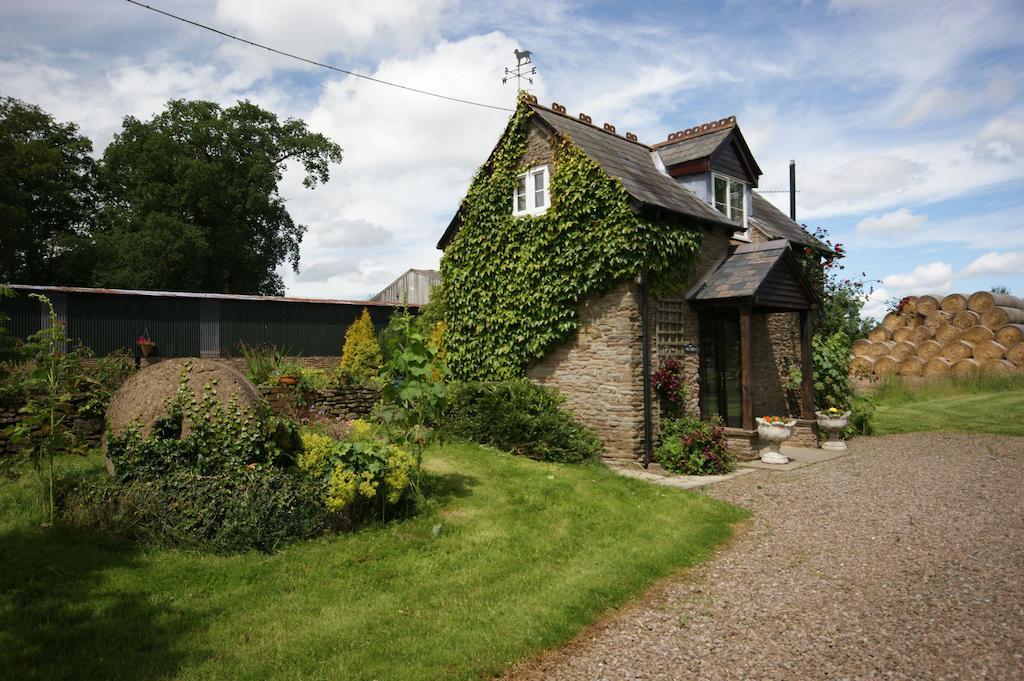 Hills Farm Bed & Breakfast Leominster Rom bilde